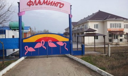 Об оздоровлении в  ДСОЛ &laquo;Фламинго&raquo;